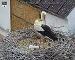Capi_Dubne_20260530_172003.jpg