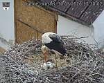 Capi_Dubne_20260530_173002.jpg