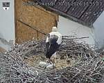 Capi_Dubne_20260530_175504.jpg