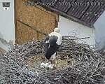 Capi_Dubne_20260530_180002.jpg