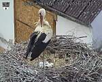 Capi_Dubne_20260530_181002.jpg