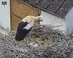 Capi_Dubne_20260530_183002.jpg