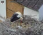 Capi_Dubne_20260530_183503.jpg