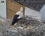 Capi_Dubne_20260530_184503.jpg