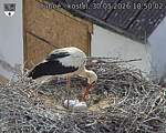 Capi_Dubne_20260530_185002.jpg
