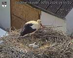 Capi_Dubne_20260530_190502.jpg