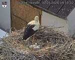Capi_Dubne_20260530_191002.jpg