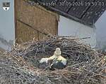 Capi_Dubne_20260530_195003.jpg