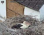 Capi_Dubne_20260530_205504.jpg