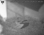 Capi_Dubne_20260530_214503.jpg