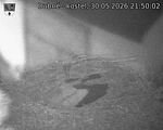 Capi_Dubne_20260530_215002.jpg