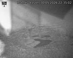 Capi_Dubne_20260530_223502.jpg