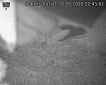 Capi_Dubne_20260530_224502.jpg