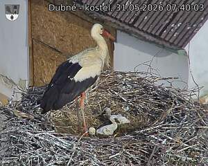 preload