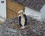 Capi_Dubne_20260531_094504.jpg