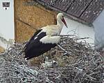 Capi_Dubne_20260531_124004.jpg