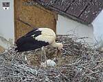 Capi_Dubne_20260531_125502.jpg