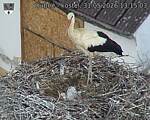 Capi_Dubne_20260531_131503.jpg
