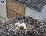 Capi_Dubne_20260531_134004.jpg