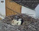 Capi_Dubne_20260531_140003.jpg