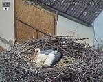 Capi_Dubne_20260531_141003.jpg