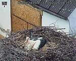 Capi_Dubne_20260531_141503.jpg