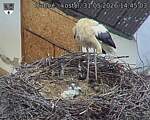 Capi_Dubne_20260531_144503.jpg