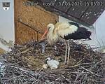 Capi_Dubne_20260531_150502.jpg