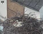 Capi_Dubne_20260531_154004.jpg