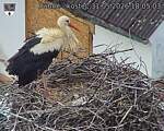 Capi_Dubne_20260531_180503.jpg