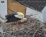 Capi_Dubne_20260531_184504.jpg