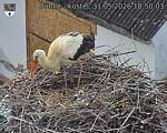 Capi_Dubne_20260531_185003.jpg