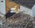 Capi_Dubne_20260531_190004.jpg