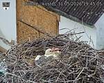 Capi_Dubne_20260531_194505.jpg