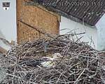 Capi_Dubne_20260531_203502.jpg