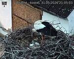 Capi_Dubne_20260531_210503.jpg