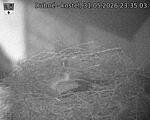 Capi_Dubne_20260531_233503.jpg