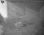 Capi_Dubne_20260601_004002.jpg
