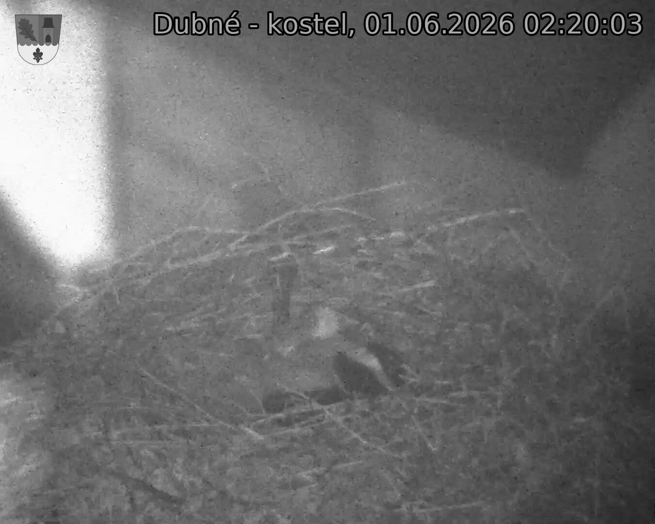 Capi_Dubne_20260601_022003.jpg (1350&nbsp;x&nbsp;1080)