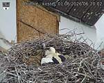 Capi_Dubne_20260601_062002.jpg