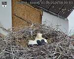 Capi_Dubne_20260601_080003.jpg