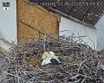 Capi_Dubne_20260601_090003.jpg
