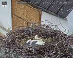 Capi_Dubne_20260601_102003.jpg