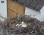 Capi_Dubne_20260601_111003.jpg