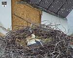 Capi_Dubne_20260601_112504.jpg