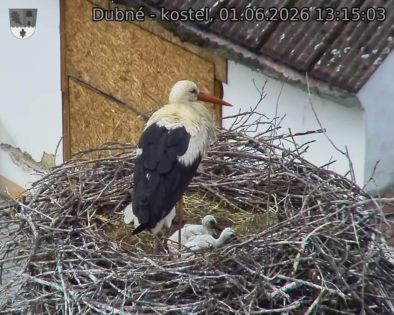 preload