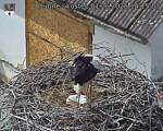 Capi_Dubne_20260601_141503.jpg