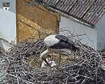 Capi_Dubne_20260601_142503.jpg