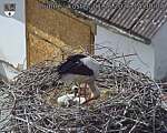 Capi_Dubne_20260601_143004.jpg