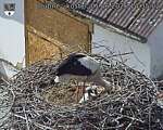 Capi_Dubne_20260601_143502.jpg